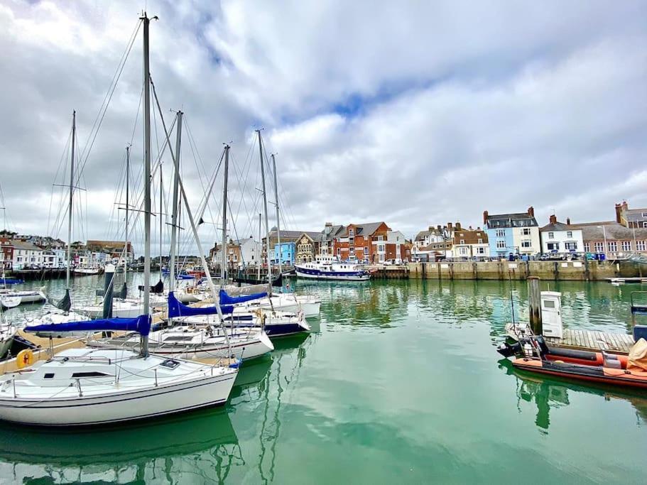 Snuggles * Weymouth
